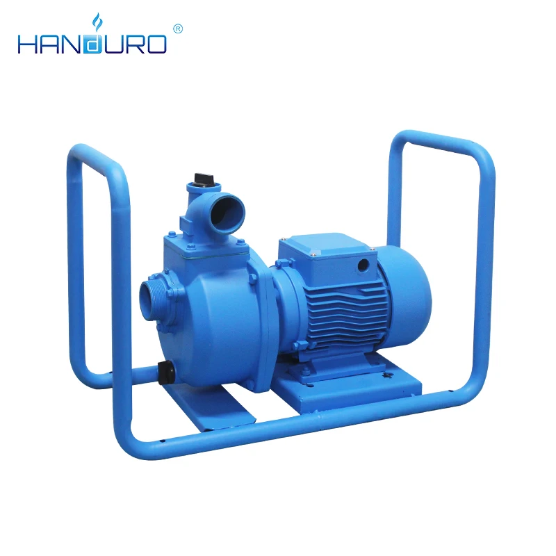 농업용 관개를 위한 2Hp 28M 110V 1500W  - Solar Water Pump 리뷰 및 가격