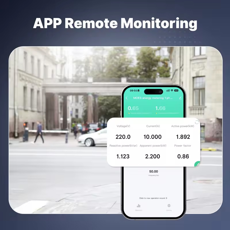 MOES Tuya Zigbee 스마트 단상 에너지 전력 - Energy Meter Bidirectional 리뷰 및 가격